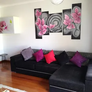  Appartamento Uptown Madalenas